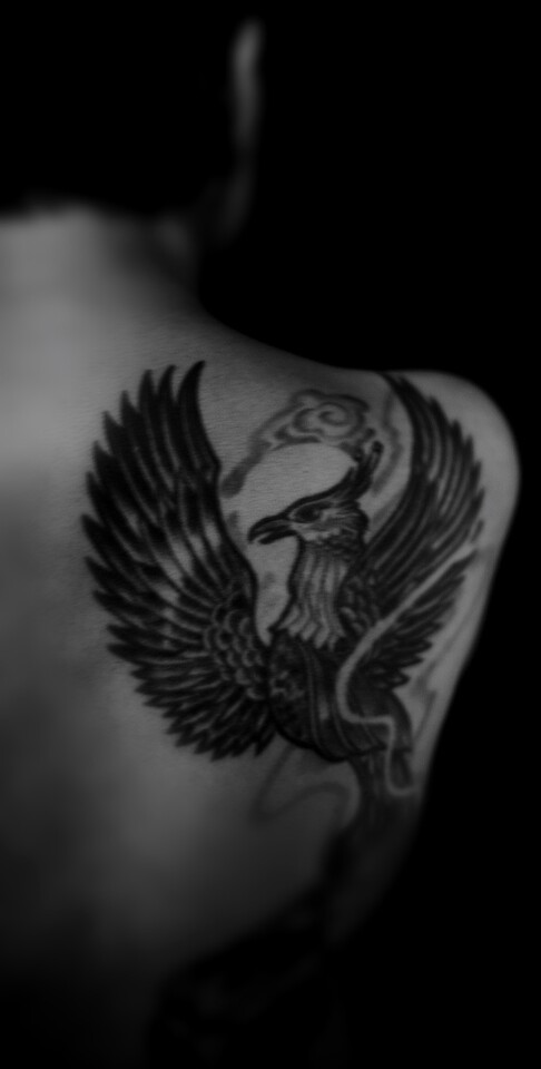 Phönix - Metapher der Verwandlung